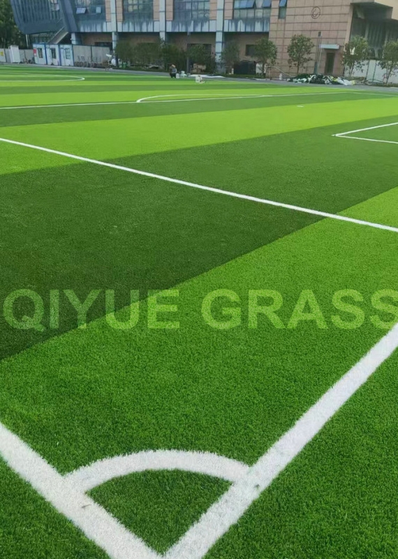 Football Grass Project