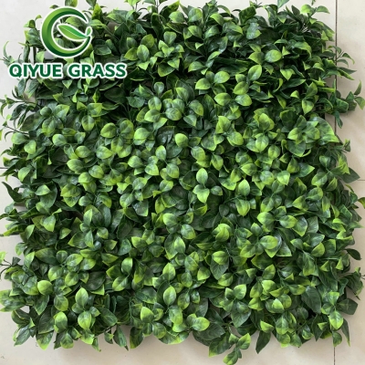 Wall grass  QYW-101