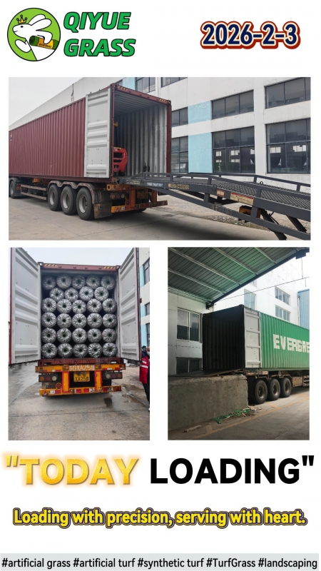 Container Loading to USA | QIYUE GRASS Shipment 2026-02-03