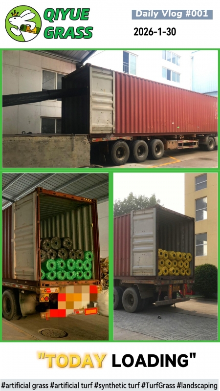 QIYUE GRASS 2026-01-30 Shipment to Australia Container Loading