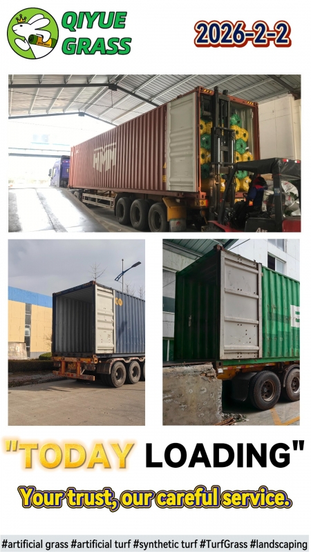 QIYUE GRASS 2026-02-02 Shipment to Saudi Arabia Container Loading