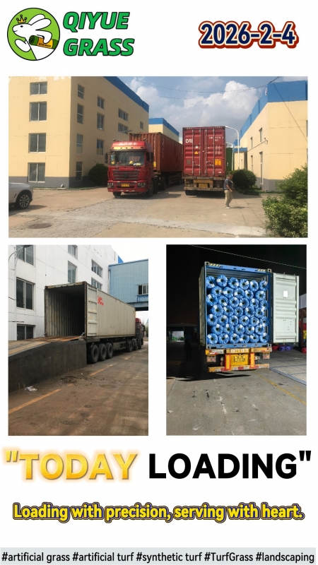 QIYUE GRASS 2026-02-04 Shipment to Dubai