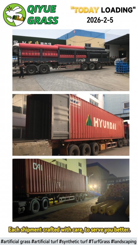 QIYUE GRASS 2026-02-05 Shipment to Netherlands